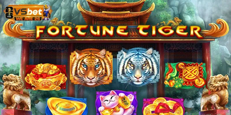 Luật thi đấu cụ thể cho newbie